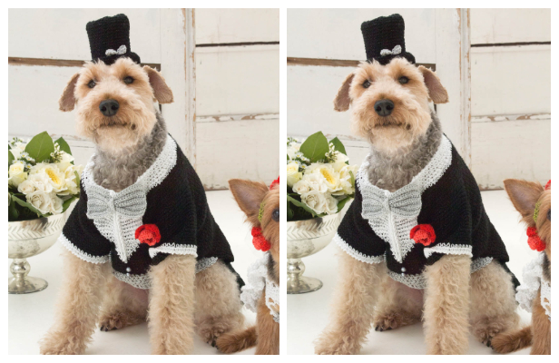 Puppy Barking Groom Tuxedo And Top Hat Free Crochet Pattern