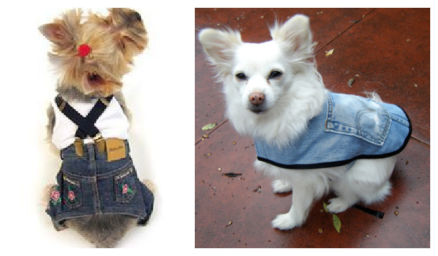5 DIY Recycled Jean Dog Coat Free Sewing Patterns & Tutorials