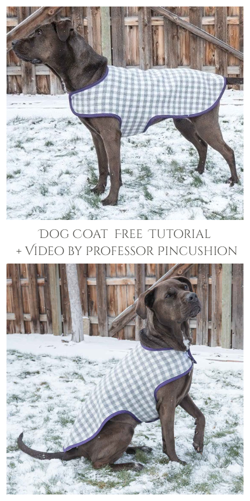 DIY Fabric Dog Coat Free Sewing Patterns + Video
