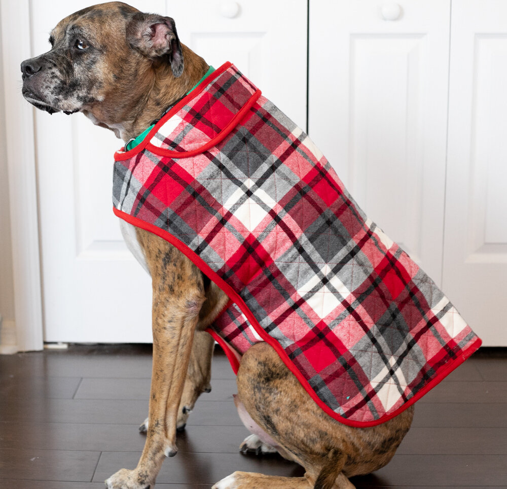 DIY Fabric Dog Coat Free Sewing Patterns