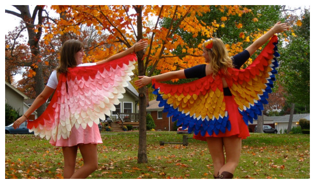 DIY Fabric Birds of Feather Costume Free Sewing Pattern