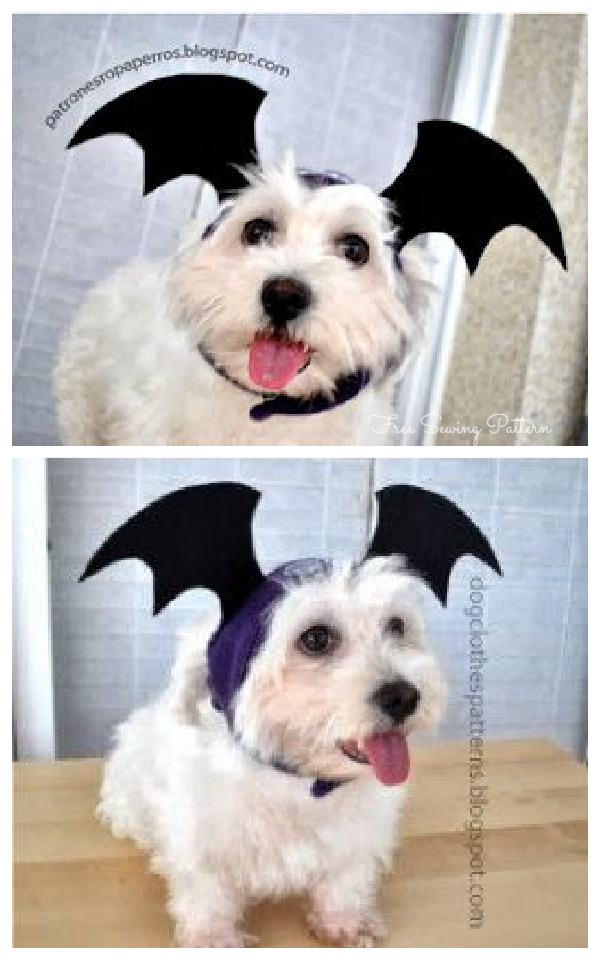 Last Minutes Dog Bat Wing Halloween Dog Costume Free Sewing Patterns