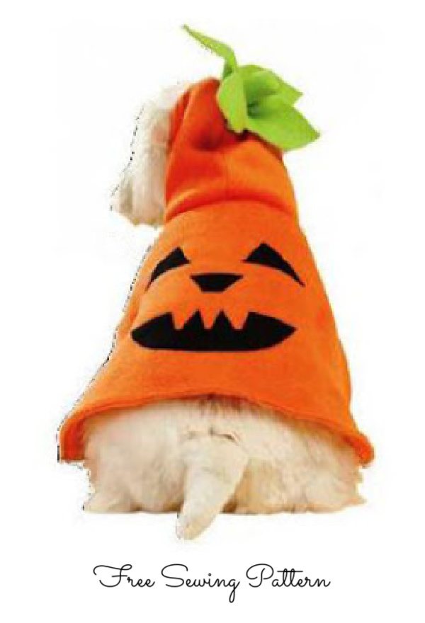 DIY Fabric Dog Halloween Pumpkin Costume Free Sewing Patterns 