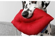 DIY Giant Lips Dog Toy Free Sewing Pattern DIY Giant Lips Dog Toy Free Sewing Pattern